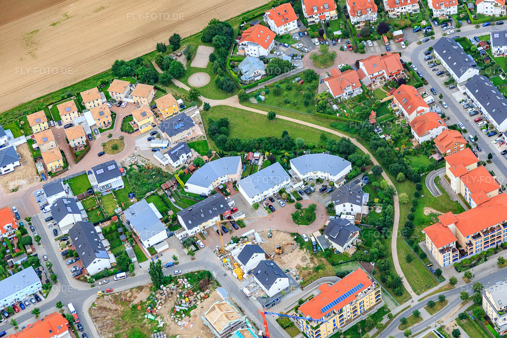 Luftbild: Fritz-Lederle-Straße im Ortsteil Oggersheim in Ludwigshafen im Bundesland Rheinland-Pfalz in Deutschland. Foto: IMG_091048.jpg vom 04.07.2016 durch Werner Riehm/FLY-FOTO.de