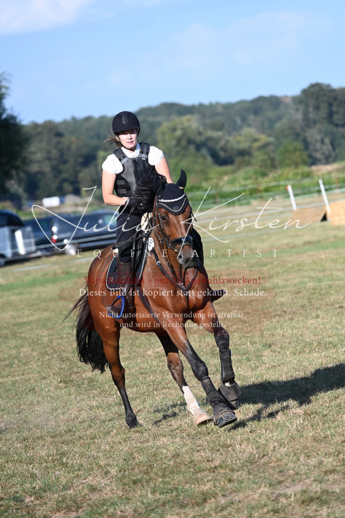 DSC_9008 | Pferde- und Turnierfotografie in Westsachsen. Pferdeportraits, Auftragszeichnungen und intuitive Kunst.