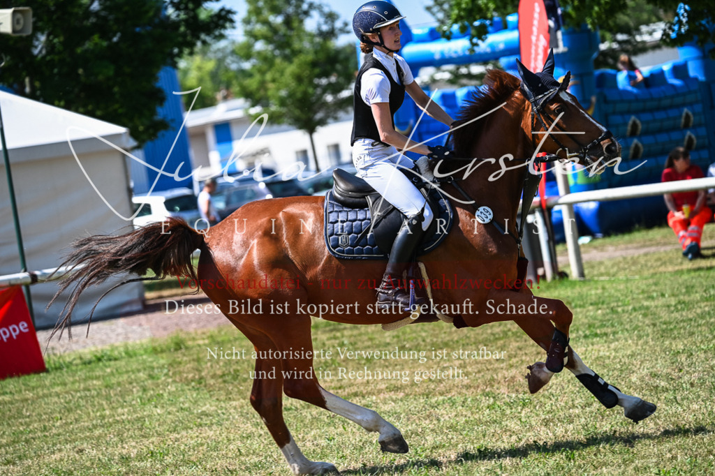 DSC_1170 | Pferde- und Turnierfotografie in Westsachsen. Pferdeportraits, Auftragszeichnungen und intuitive Kunst.