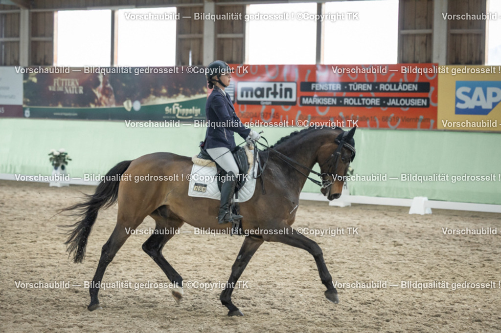 _D5A3402 | Emotionale Pferde- & People-Fotografie rund um Heidelberg, Leimen & Umgebung. Natürliche Fotos von Pferd, Mensch & Familie. Jetzt Termin sichern!