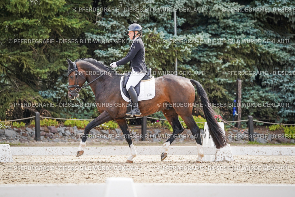 DSC08038 | Pferdegrafie