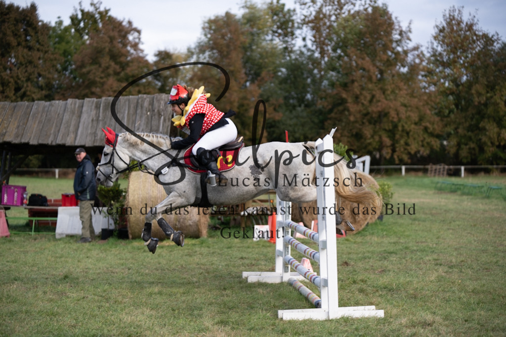 A7V06568 | Pferdefotograf