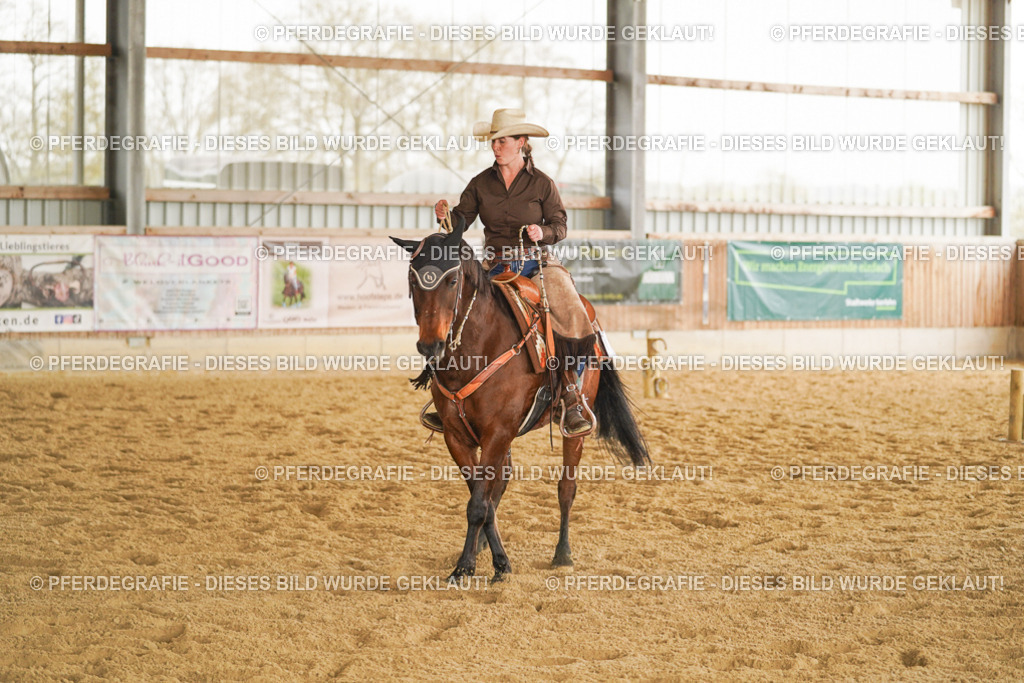 DSC04395 | Pferdegrafie