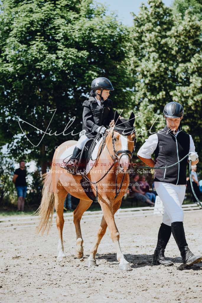 DSC_2540 | Pferde- und Turnierfotografie in Westsachsen. Pferdeportraits, Auftragszeichnungen und intuitive Kunst.