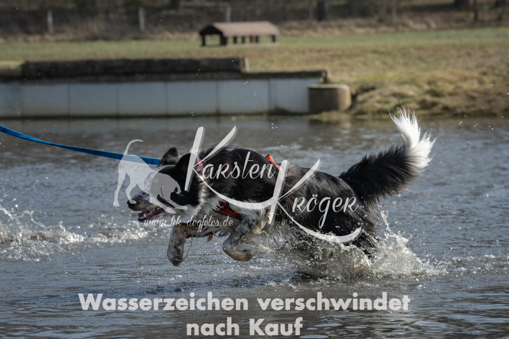 1244_ZZ91838 | kk-dogfotos