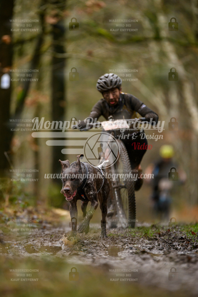 MompixPhotography_CDSM24_SA_DS1-9 | mompixphotography
