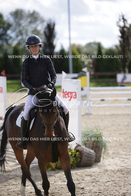 1J2A8498Antonia Selina Brinkop_ Max T_ Kn712_ Havekost | Foto- und Videografie für alles rund ums Pferd. Hochwertige Bilder und Videos vom Spring- und Dressurreiten, Voltigieren & mehr. Jetzt aktuelle Veranstaltungen und Preise im Shop ansehen. - Realisiert mit Pictrs.com