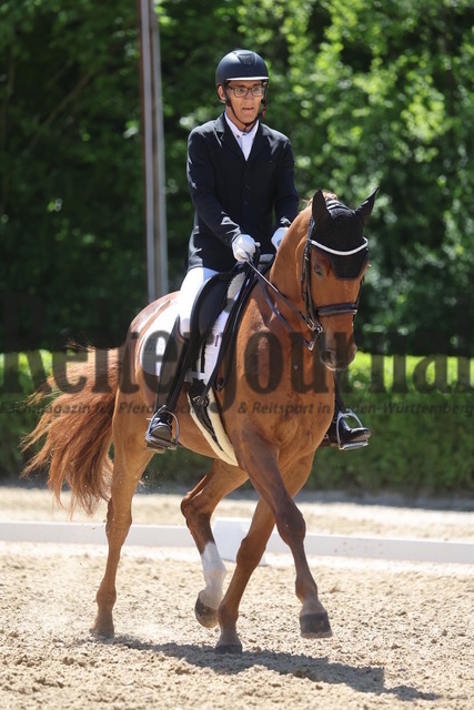 Böblingen_2025_Prfg.Nr.08_Dressurprüfung_Kl.M_Nürnberger Burgpokal_Veselin Zwicker_Delione (5) | Alle Fotos der Reiterjournal Fotografin Doris Matthaes im Reiterjournal Online-Fotoshop. - Realisiert mit Pictrs.com
