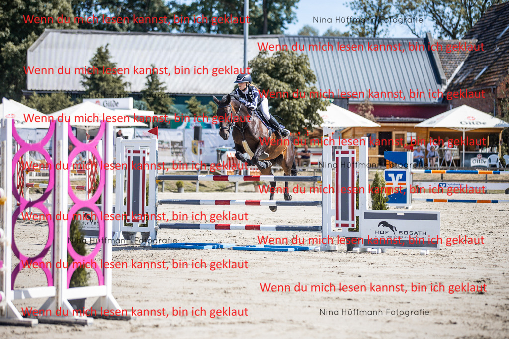 BK1A6704 | Turnierbilder Turnierfotos Nina Hüffmann Turnierfotografie Pferdefotografie Tierzeichnung Haustierzeichnung Pferdezeichnung Hundezeichnung Videograf  - Realisiert mit Pictrs.com