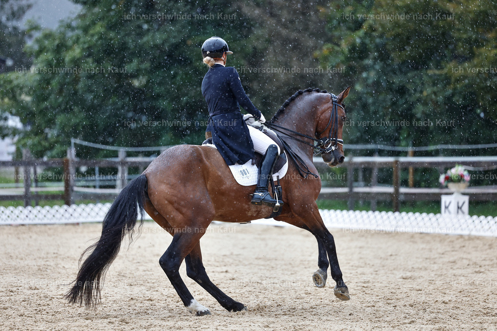 8_1-001-Klasse S_  -StoibPH-3966 | working equitationturnier fotograf videograf stoibphotography marixx film working equitation deutschland reitsport turnierfotografie eventfotografie equestrian events