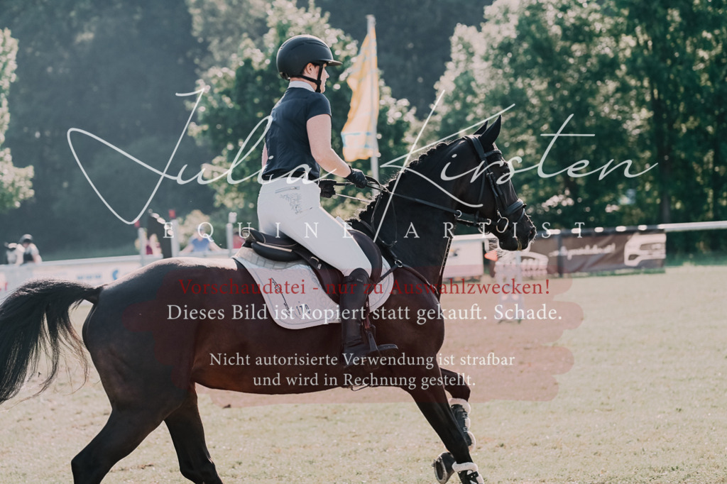 DSC_4709 | Pferde- und Turnierfotografie in Westsachsen. Pferdeportraits, Auftragszeichnungen und intuitive Kunst.