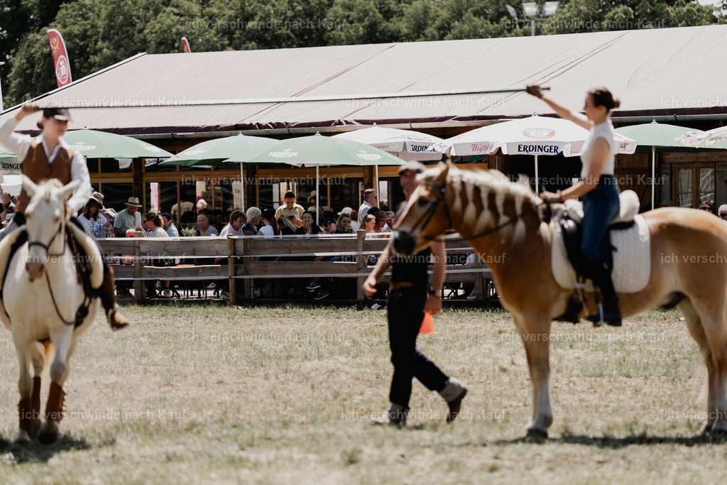 _DSC6977 | working equitationturnier fotograf videograf stoibphotography marixx film working equitation deutschland reitsport turnierfotografie eventfotografie equestrian events