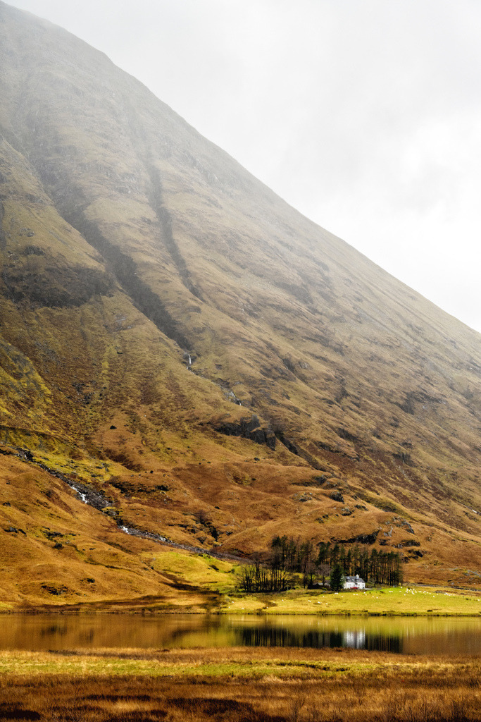 Haus am Loch Achtriochtan, Glen Coe | Eine weite Landschaft in Glen Coe, Schottland, zeigt ein kleines weisses Haus umgeben von Bäumen am Ufer des Loch Achtriochtan. Die Szene wird dominiert von einem steilen, nebligen Berg, dessen herbstliche Farben und kleine Wasserfälle sich im ruhigen See spiegeln. Die Komposition betont die Isolation und die raue Schönheit der schottischen Highlands. - Realisiert mit Pictrs.com