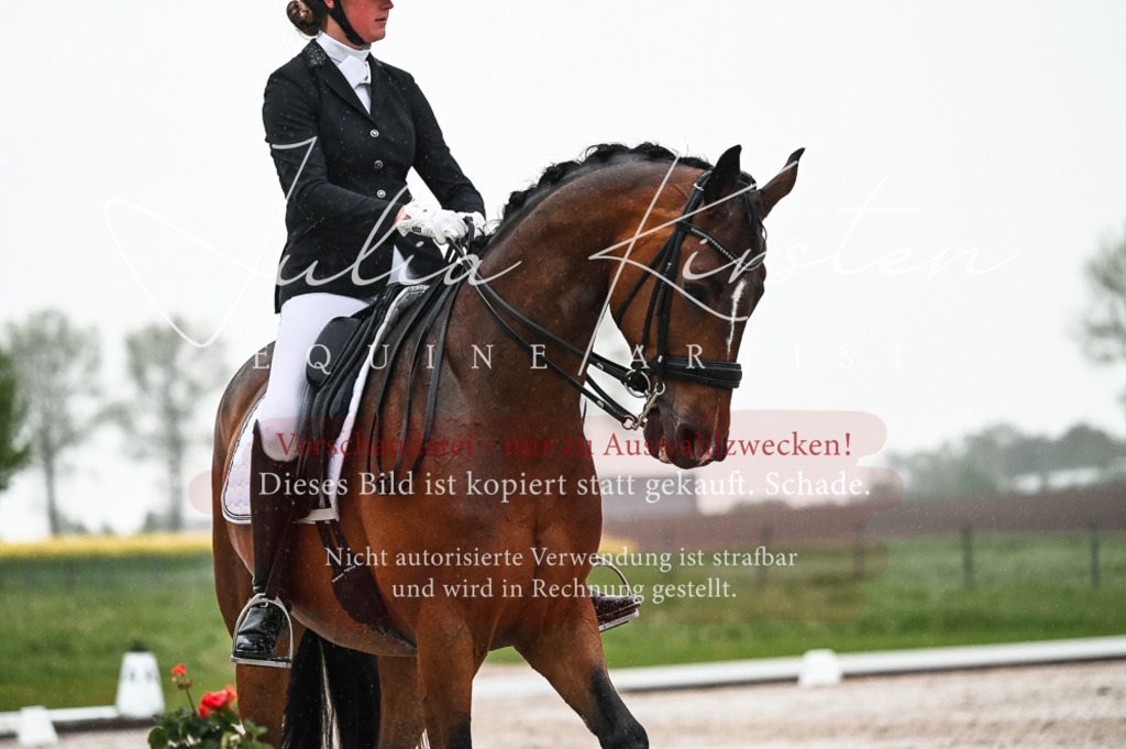 DSC_4582 | Pferde- und Turnierfotografie in Westsachsen. Pferdeportraits, Auftragszeichnungen und intuitive Kunst.