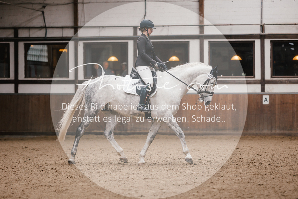 3I6A7329 | Stimmungsvolle Portraits und Reitsportfotografie im Ruhrgebiet und im Münsterland.

Pferdefotografie, Hundefotografie, Tierfotografie, Reportagen, Portraits von Tier und Mensch, Turnierfotografie in Bochum, Recklinghausen, Marl, Haltern am See, Dülmen.. - Realisiert mit Pictrs.com