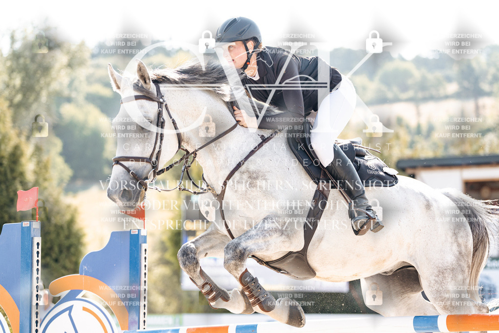 CK902078 | Turnierfotografie Pferdefotografie Trier Rheinland-Pfalz Pferdesport Reitsport Tierfotografie Sportfotografie Pferdevideo Pferdevideografie Equestrianvideography equestrianphotography  - Realisiert mit Pictrs.com