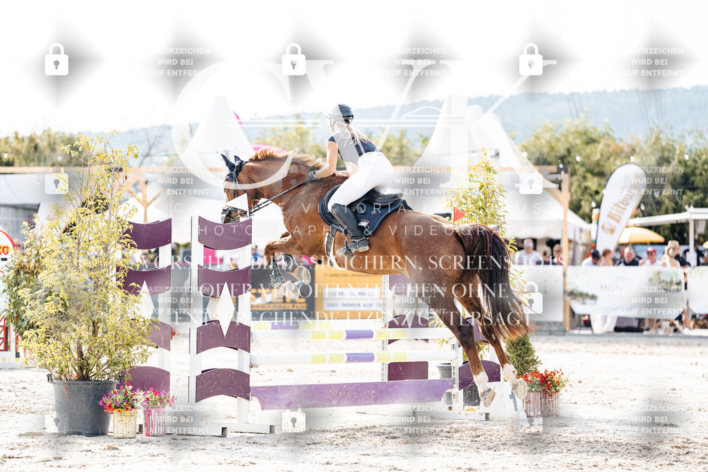 CK906054 | Turnierfotografie Pferdefotografie Trier Rheinland-Pfalz Pferdesport Reitsport Tierfotografie Sportfotografie Pferdevideo Pferdevideografie Equestrianvideography equestrianphotography  - Realisiert mit Pictrs.com