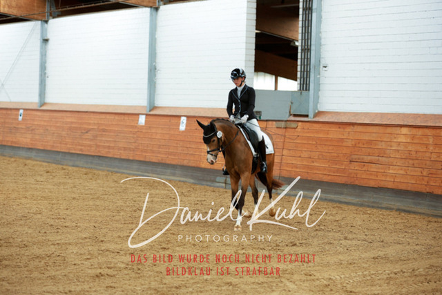 _62_5336 | Turniersportfotografie; Pferdefotografie; Dressurfotografie