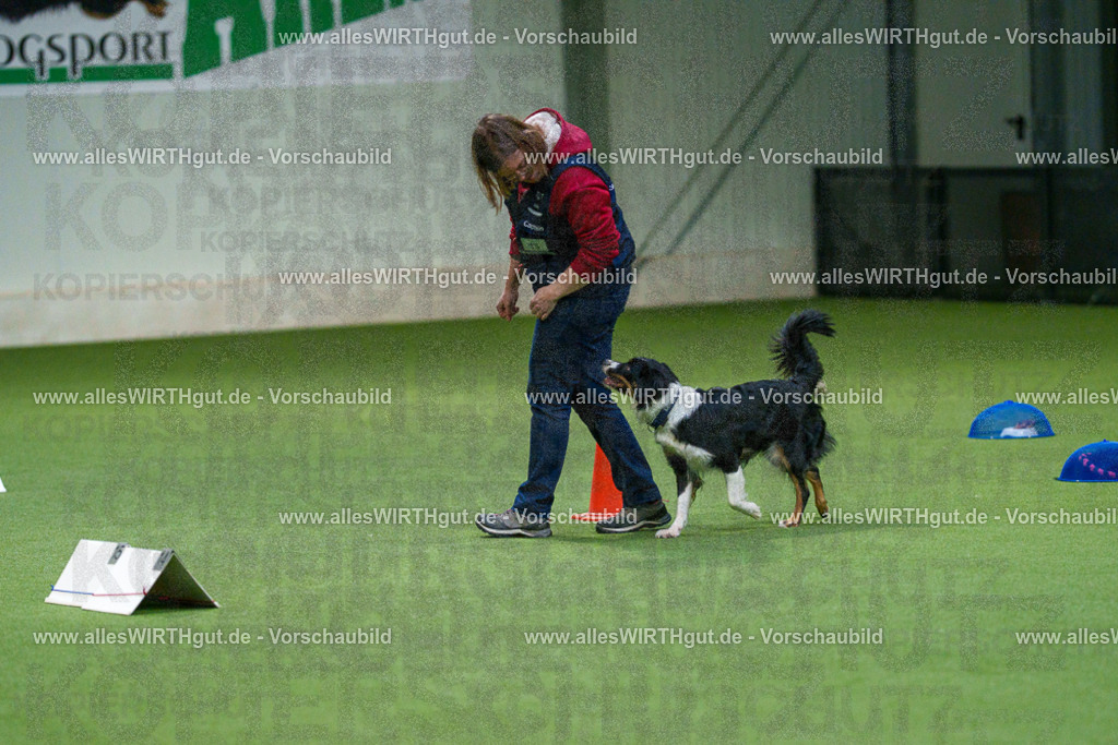 7R505393 | Professionelle Tierfotografie in Mönchengladbach von Daniel Wirth (allesWIRTHgut). Liebevolle & natürliche Bilder von Hunden & Katzen für unvergessliche Erinnerungen.