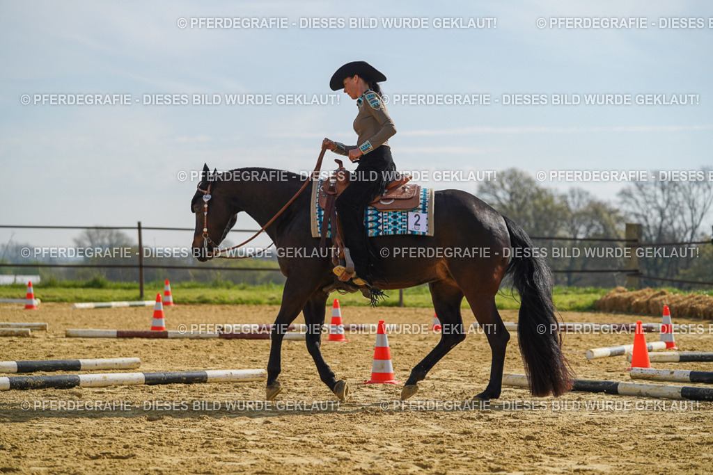 DSC01347 | Pferdegrafie