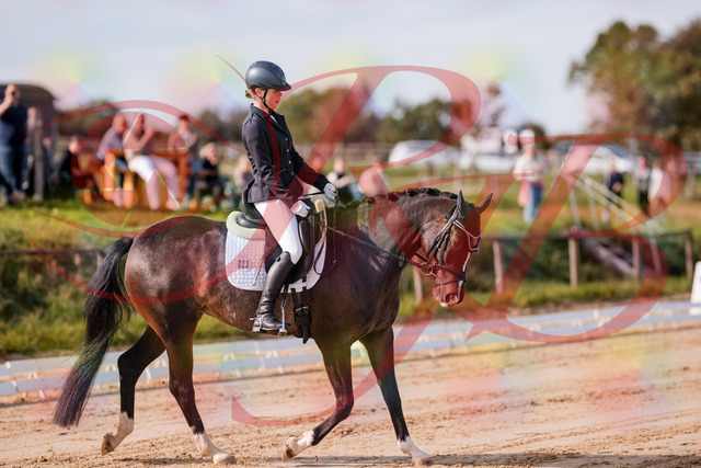 2026_10_03_Siefer-Hof_113428_Z81_79110053 | Professionelle Reitsport-, Turnier- und Eventfotografie von Robert Broda. Galerien mit ausgewählten und bearbeiteten Bildern direkt online ansehen und bestellen.