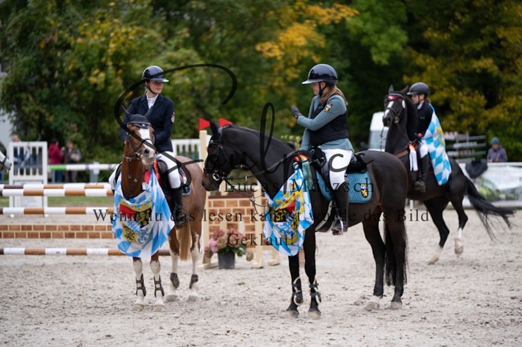 A7V09245 | Pferdefotograf