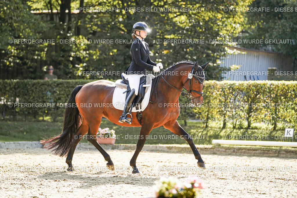 DSC07295 | Pferdegrafie