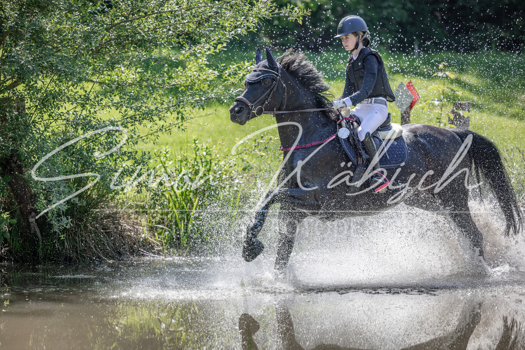 20260523-_3LI7184 | Tierfotografie Pferde, Hunde, Katzen, Haustiere.
Turnierfotografie Reitturniere, Reiten, Springreiten, Dressur in Hanau, dem Main-Kinzig-Kreis und dem Rhein-Main- Gebiet um Frankfurt