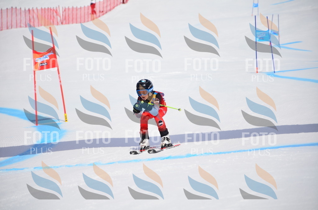 VR4_7386 | holidayphoto