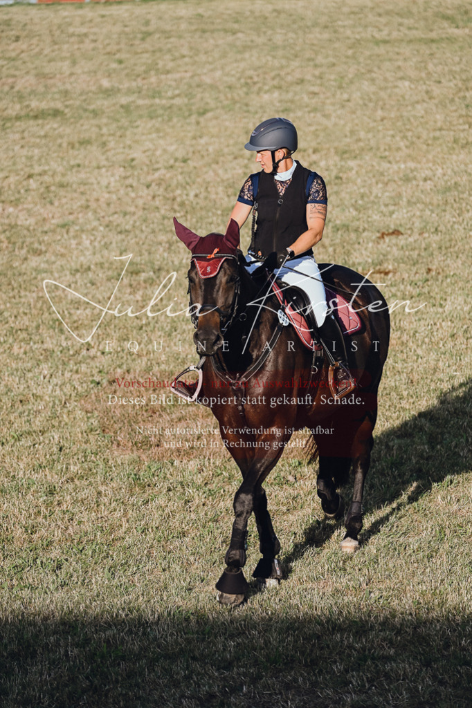 DSC_3227 | Pferde- und Turnierfotografie in Westsachsen. Pferdeportraits, Auftragszeichnungen und intuitive Kunst.