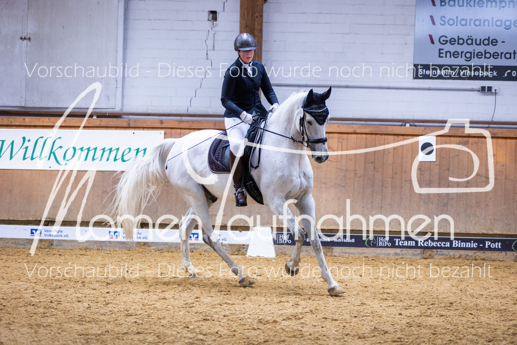 Sth-A-Dre-2St-081 | MomenTaufnahmen Pferdesportfotos