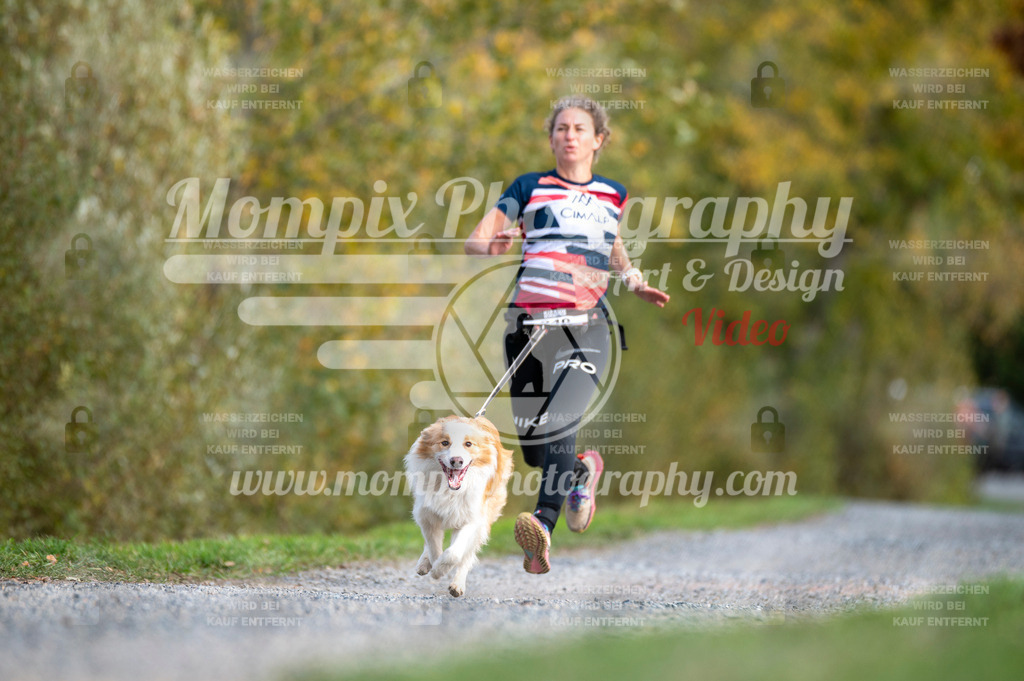 TSB_2023_E2_Canicross-62 | mompixphotography