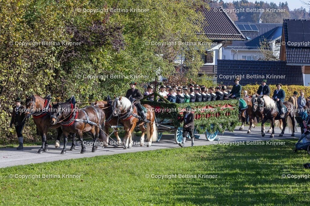 LBT24-556 | foto-bettina-krinner - Realisiert mit Pictrs.com