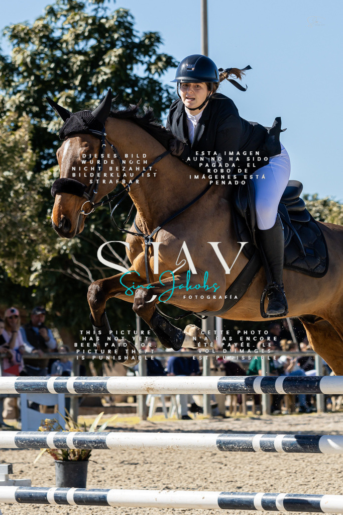 IMG_0303 | s-jay-photography - Realisiert mit Pictrs.com