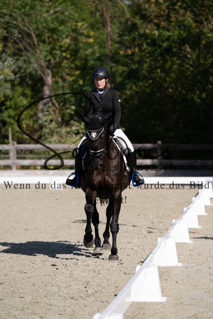 A7V06997 | Turnier/Reitfotograf
