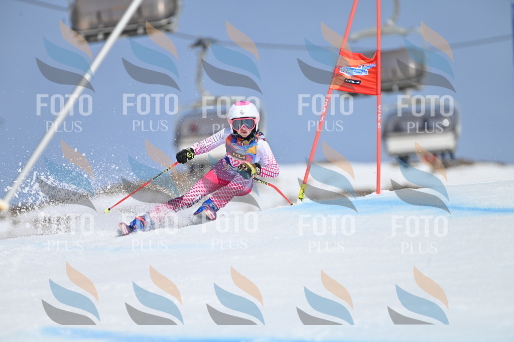 BGV_9818 | holidayphoto