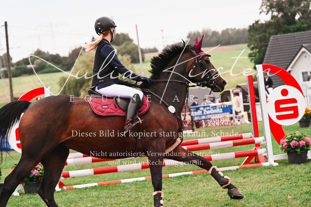 DSC_6532 | Pferde- und Turnierfotografie in Westsachsen. Pferdeportraits, Auftragszeichnungen und intuitive Kunst.