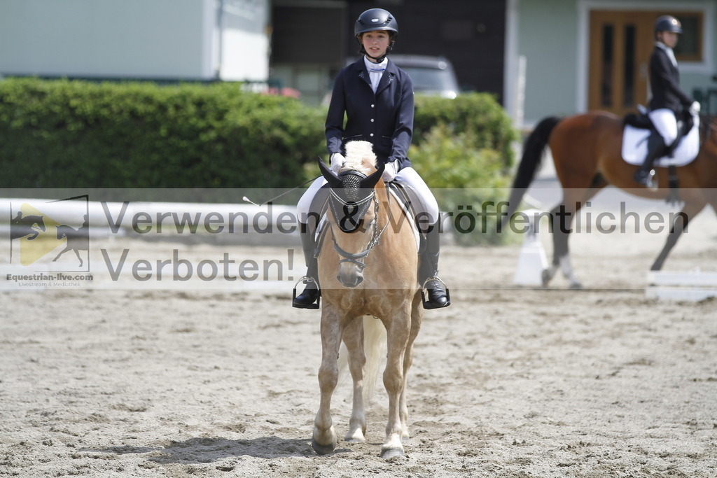 _MG_8537 | equestrian-live-com