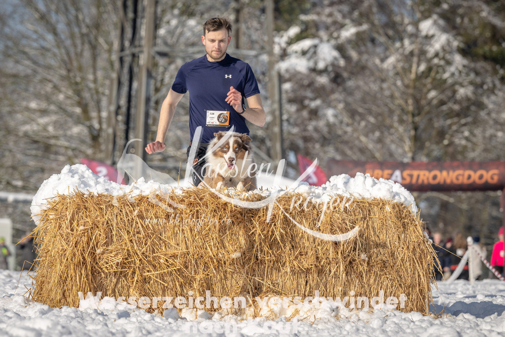 0955_ZZ94155 | kk-dogfotos