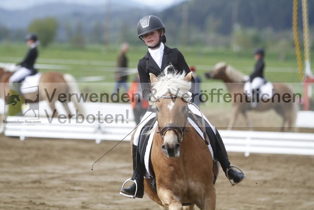 _MG_2587 | equestrian-live-com