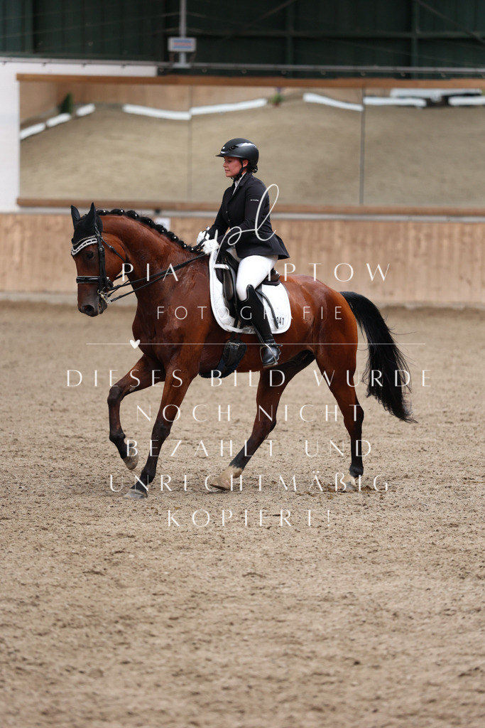 IMGM0841 | pl-fotografie