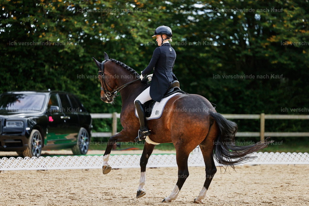 11-091-Dressur S___-StoibPH-1282 | working equitationturnier fotograf videograf stoibphotography marixx film working equitation deutschland reitsport turnierfotografie eventfotografie equestrian events
