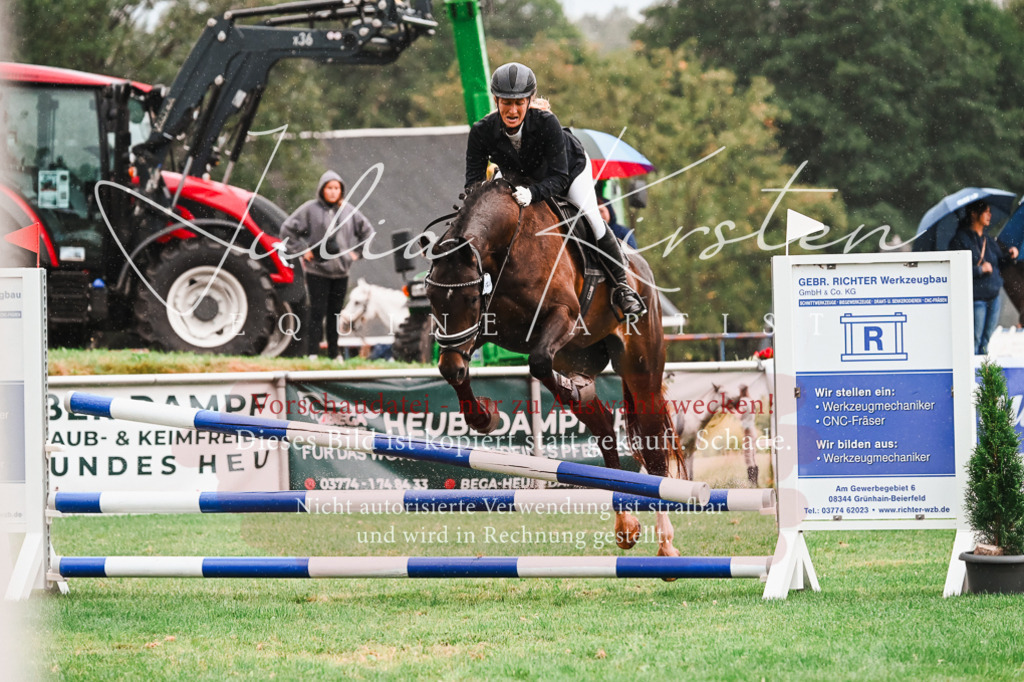 DSC_6414 | Pferde- und Turnierfotografie in Westsachsen. Pferdeportraits, Auftragszeichnungen und intuitive Kunst.