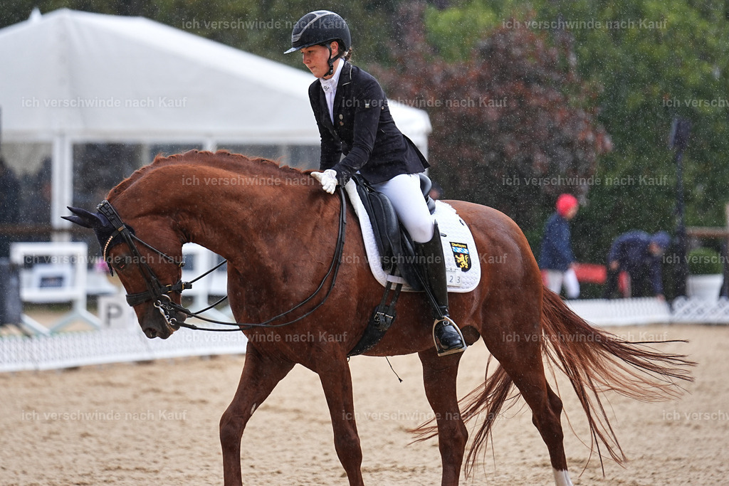 05-223-DRESSUR M_  -Marixx-4956 | working equitationturnier fotograf videograf stoibphotography marixx film working equitation deutschland reitsport turnierfotografie eventfotografie equestrian events