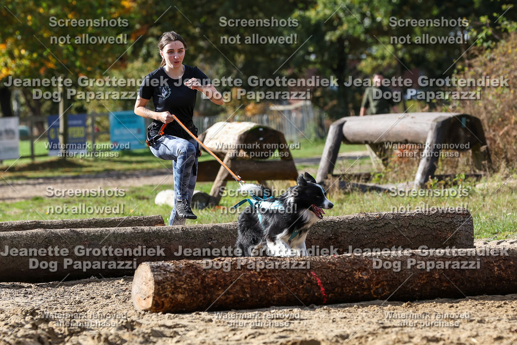 Dog Paparazzi - Strongdog 10-25-4960 | Dog Paparazzi Jeanette Grottendiek Fotografie & Videografie - Realisiert mit Pictrs.com