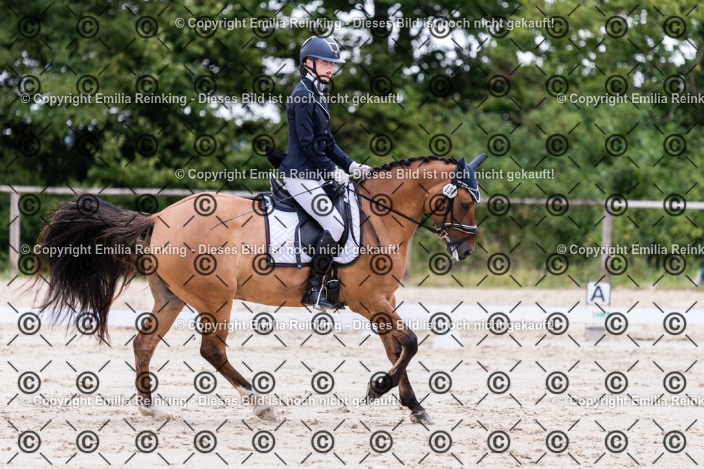 CL5A2131 | Emilia Reinking Fotografie - Realisiert mit Pictrs.com