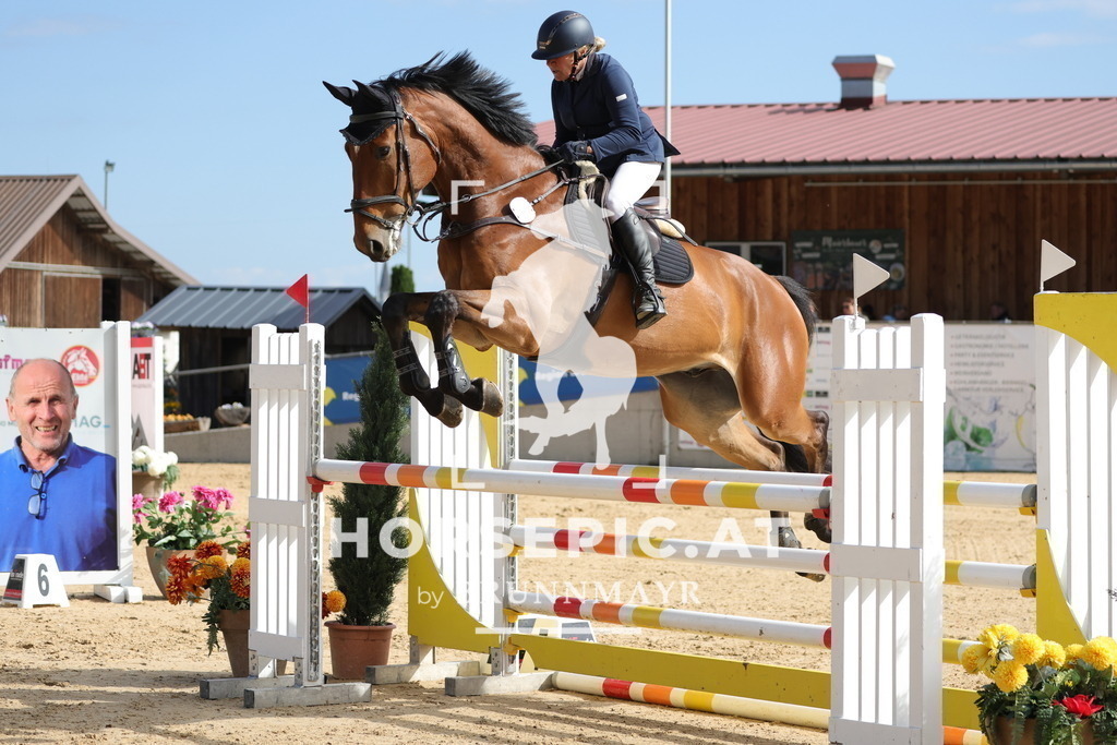 0P6A6419 | Willkommen bei Brunnmayr - Design & Fotografie – Ihrem Spezialisten für Reitturniere und Pferdeveranstaltungen in Oberösterreich, Salzburg und Bayern! Seit über 17 Jahren sind wir leidenschaftlich dabei.
