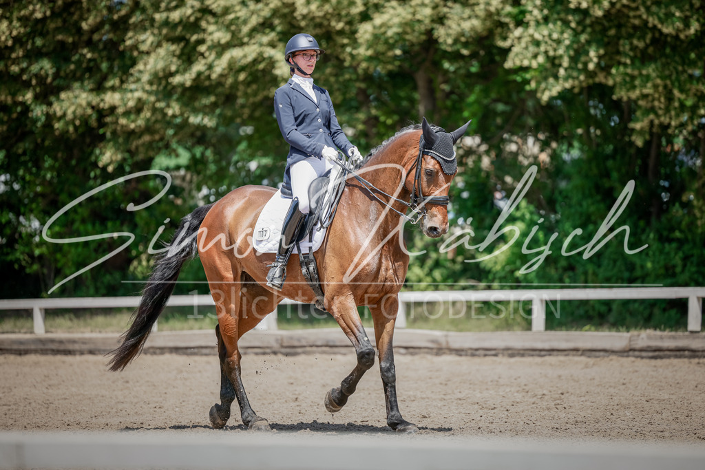 20250621-_3LI7933 | Tierfotografie Pferde, Hunde, Katzen, Haustiere.
Turnierfotografie Reitturniere, Reiten, Springreiten, Dressur in Hanau, dem Main-Kinzig-Kreis und dem Rhein-Main- Gebiet um Frankfurt