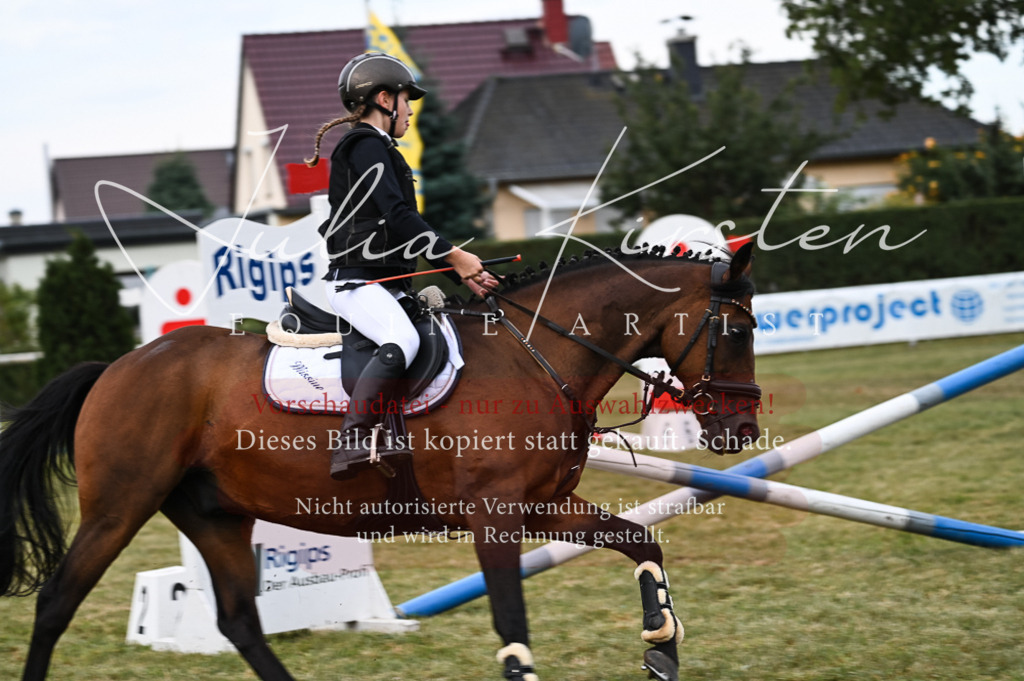 DSC_5456 | Pferde- und Turnierfotografie in Westsachsen. Pferdeportraits, Auftragszeichnungen und intuitive Kunst.