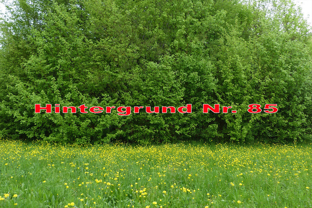 Hintergrund 3X2 085 | Foto, Video, Fotografie, Videografie, Fotobox, DJ, Discjockey, Musik, Musikbox, Veranstaltung, Photobooth, Amazon, Ebay, Buchtipp, Bestseller, Autor, Verlag, Buch, Wesel, Hamminkeln, NRW, Dinslaken, Rees, Drohne, Hochzeit, Party, Fotobox, Wesel, Fotograf